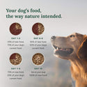 360 Pet Nutrition Multi-Meat Freeze-Dried Raw Complete Meal for Adult Dogs