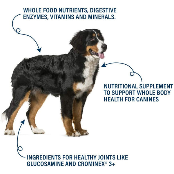 360 Pet Nutrition Canine Superfood Blend Nutritional Supplements for Dogs