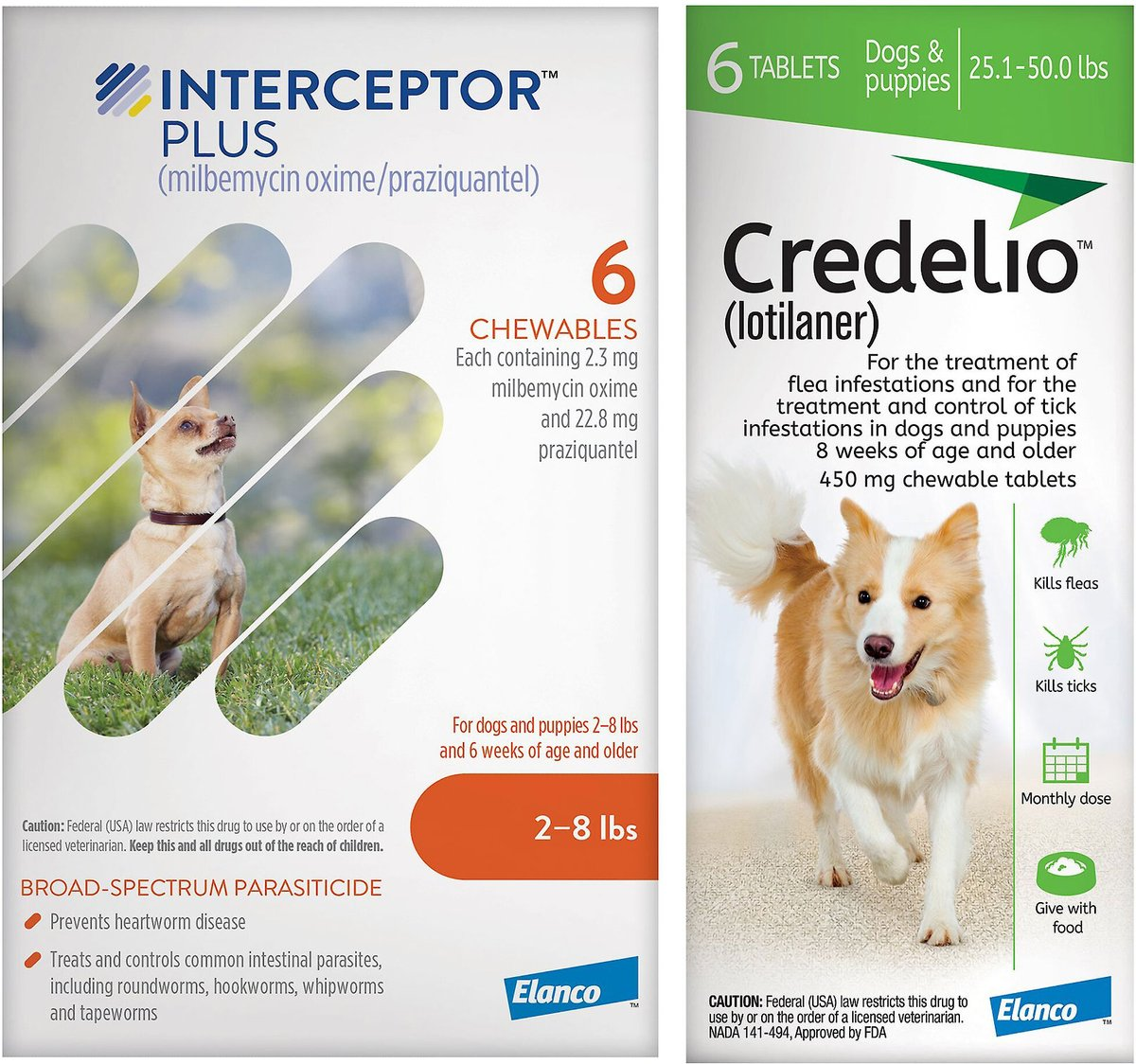 Credelio + Interceptor Plus 6-Month Bundle