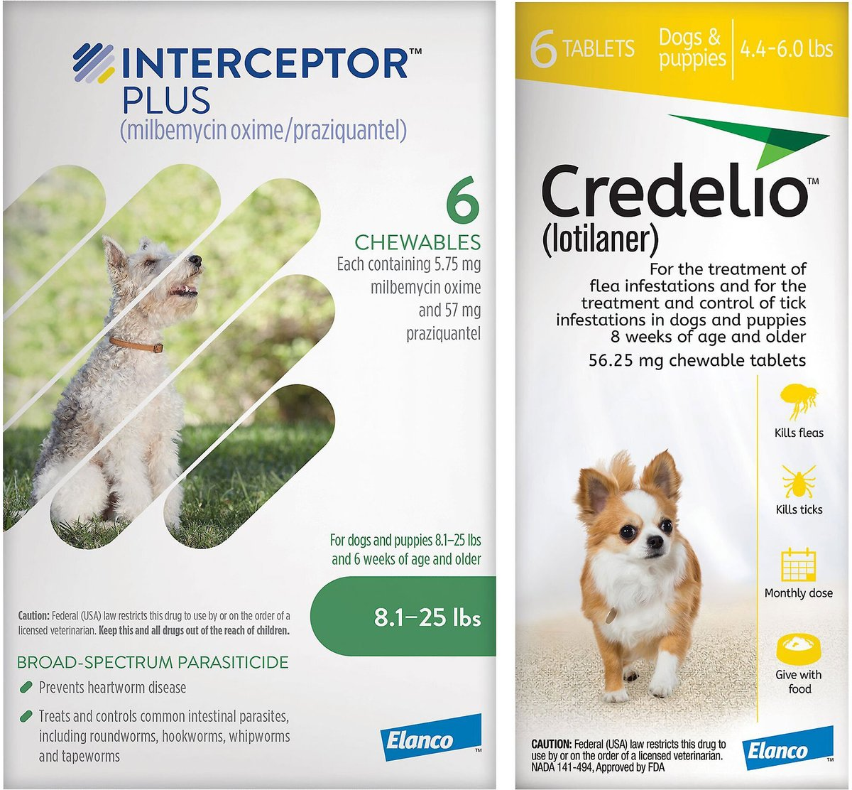 Credelio + Interceptor Plus 6-Month Bundle