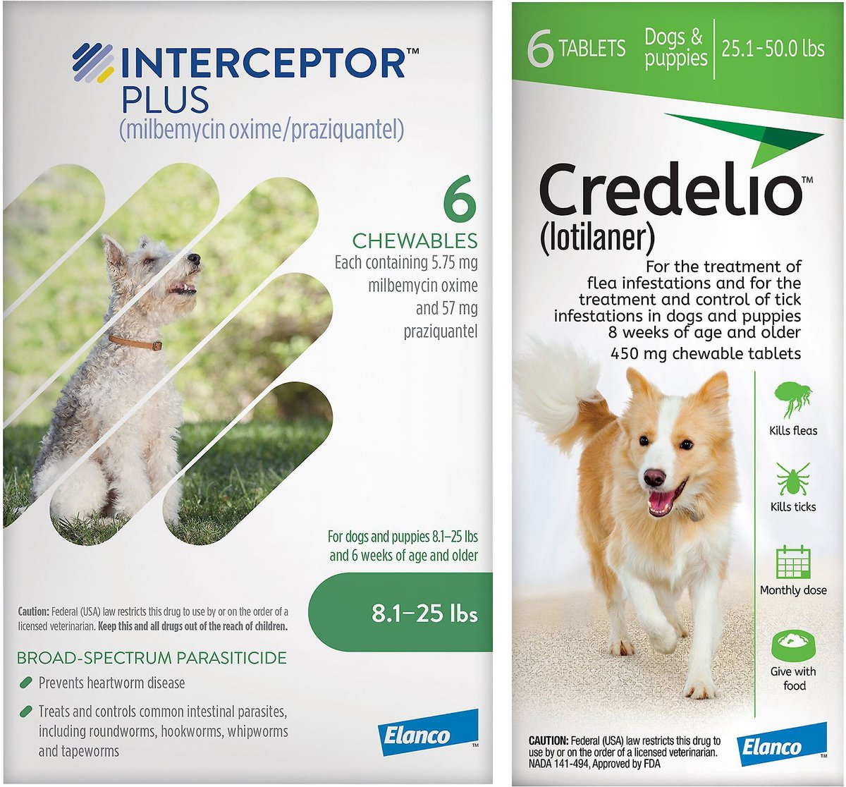 Credelio + Interceptor Plus 6-Month Bundle