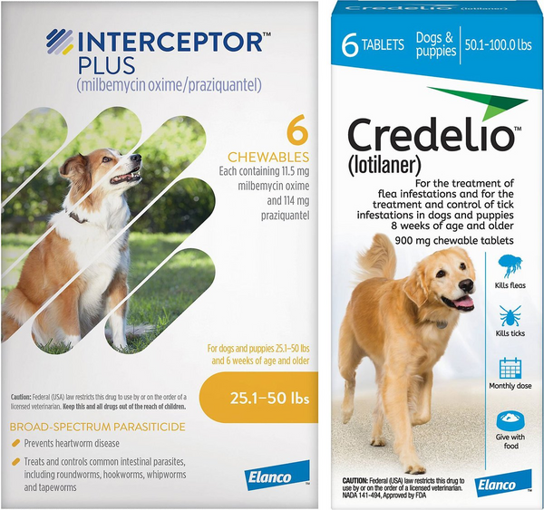 Credelio + Interceptor Plus 6-Month Bundle