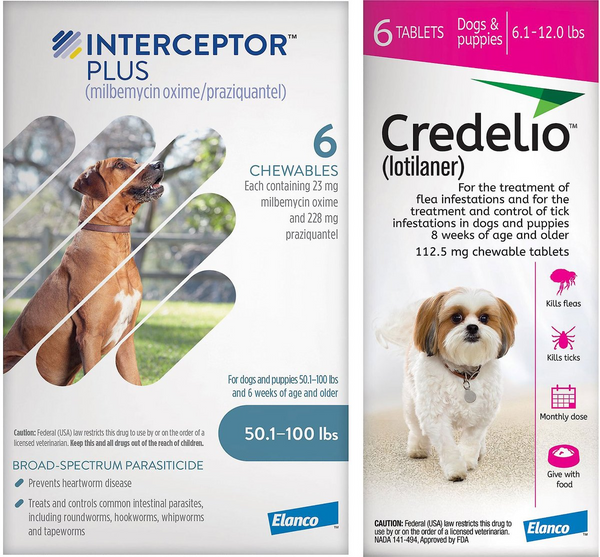 Credelio + Interceptor Plus 6-Month Bundle