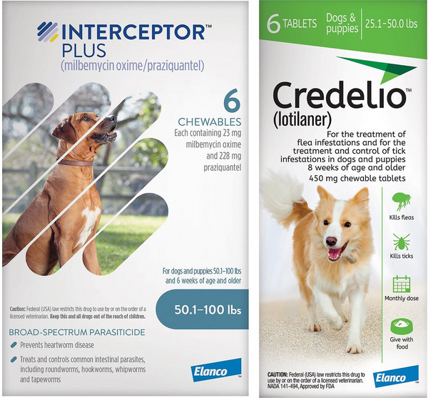 Credelio + Interceptor Plus 6-Month Bundle