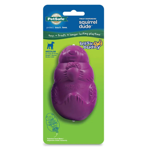 Squirrel Dude Treat Dispenser Dog Toy by Petsafe