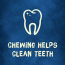 Busy Bone Peanut Butter Flavor Long-Lasting Chew Small & Medium