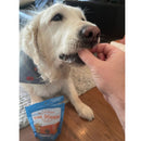 Dog being petted by a hand with a package of 'The Dough' dog treats on the floor.