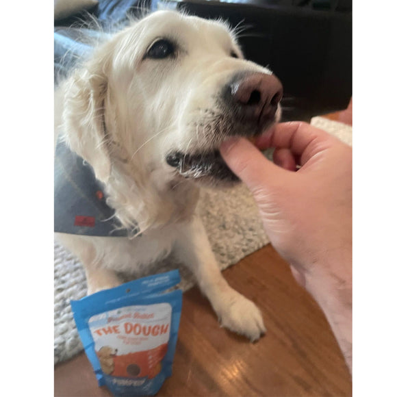 Dog being petted by a hand with a package of 'The Dough' dog treats on the floor.
