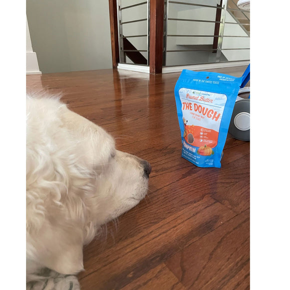 Dog sniffing a package of 'The Douch' on a wooden floor.