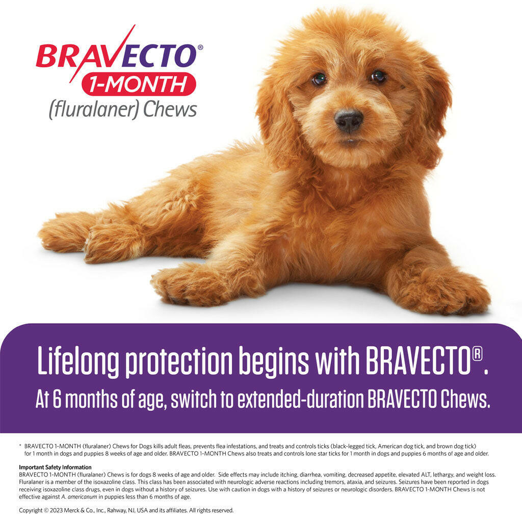 Bravecto 1 month chews, Bravecto for dogs 1 month