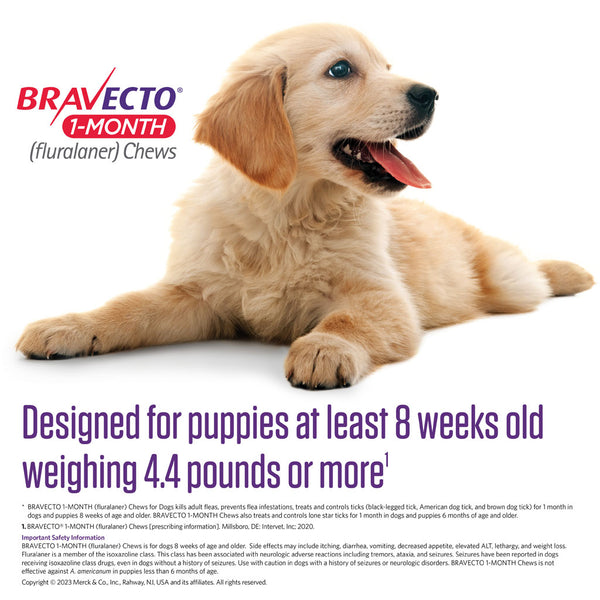 Bravecto 1 month chews, Bravecto for dogs 1 month