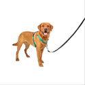 PetSafe 3-in-1 Dog Harness with Car Control Strap, Teal LG