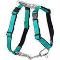 PetSafe 3-in-1 Dog Harness with Car Control Strap, Teal