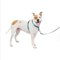 PetSafe 3-in-1 Dog Harness with Car Control Strap, Teal MD