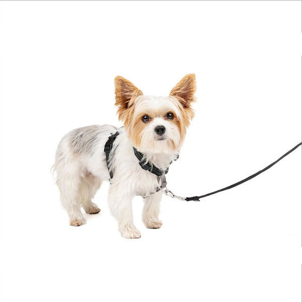 PetSafe 3-in-1 Dog Harness with Car Control Strap, Black, XS