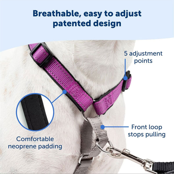 PetSafe 3-in-1 Dog Harness with Car Control Strap, Black