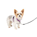 PetSafe 3-in-1 Dog Harness with Car Control Strap, Plum XS