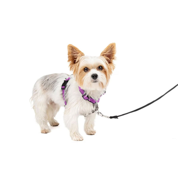 PetSafe 3-in-1 Dog Harness with Car Control Strap, Plum XS