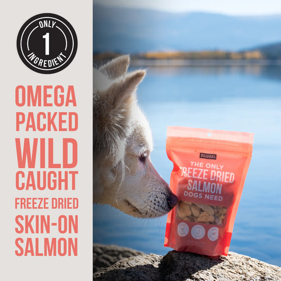 Natural Rapport The Only Freeze-Dried Salmon Dogs Need, 3-oz