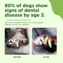 Adore Pet Complete Oral Care Spray Peppermint Flavor for Dogs & Cats, 4-oz-2