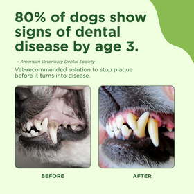 Adore Pet Complete Oral Care Spray Peppermint Flavor for Dogs & Cats, 4-oz - 0