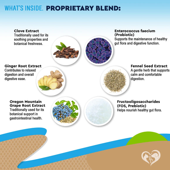 Beloved Pets Dewo with Probiotics Natural Intestinal Defense for Cats & Dogs (2 oz)