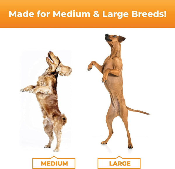 bacon flavored dog treats for medium and large breeds