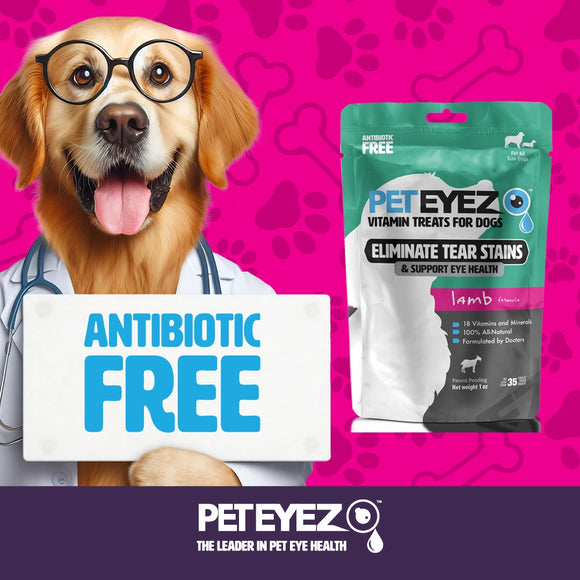 PetEyez Freeze Dried Vitamin Treats for Dogs, 1-oz