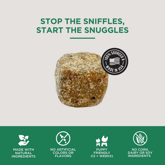 Natural Rapport the Only Allergy Soft Chews Dogs Need Allergy Supplement