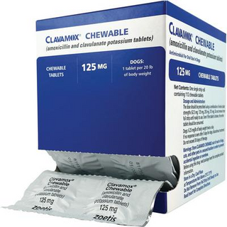 Clavamox (amoxicillin trihydrate/clavulanate potassium) Chewable Tablets, 125mg
