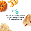 Pumpkin, sliced pumpkin, rice, and a dish with text about high-quality proteins and veggies in gravy on a white background.