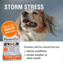 HomeoPet Storm Stress for Small Animals