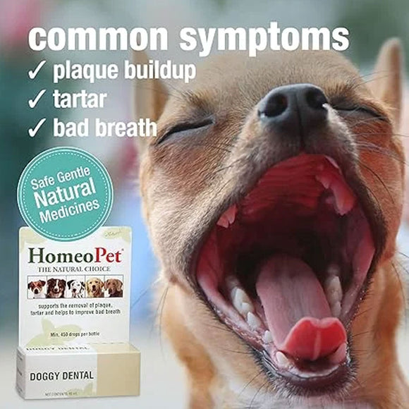 HomeoPet Doggy Dental
