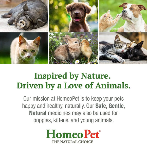 HomeoPet Doggy Dental