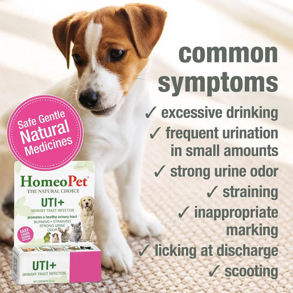 HomeoPet UTI Plus Urinary Tract Infection for Pets