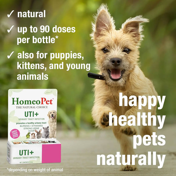 HomeoPet UTI Plus Urinary Tract Infection for Pets