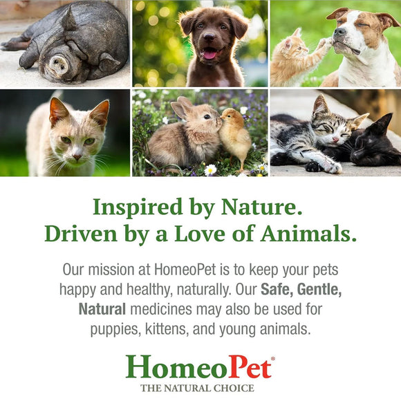 HomeoPet UTI Plus Urinary Tract Infection for Pets