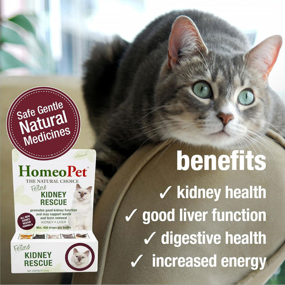 HomeoPet Feline Kidney Rescue, 15-ml