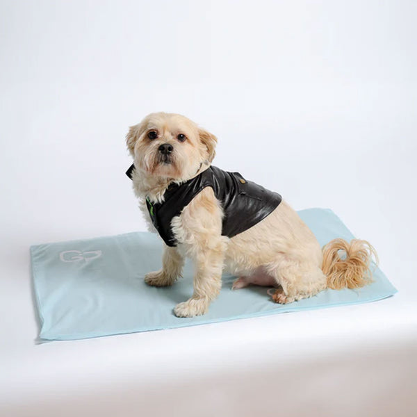 Green Pet Cool Pet Pad Cover with dog