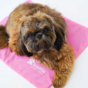 Green Pet Cool Pet Pad Cover pink with dog