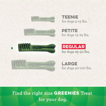 Greenies Aging Care Regular size