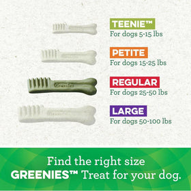 greenies regular dental dog treats