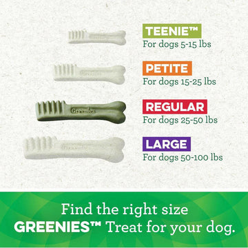 greenies regular dental dog treats