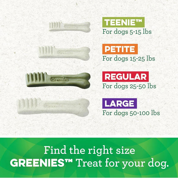 greenies regular dental dog treats