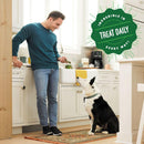 greenies regular meanie greenie