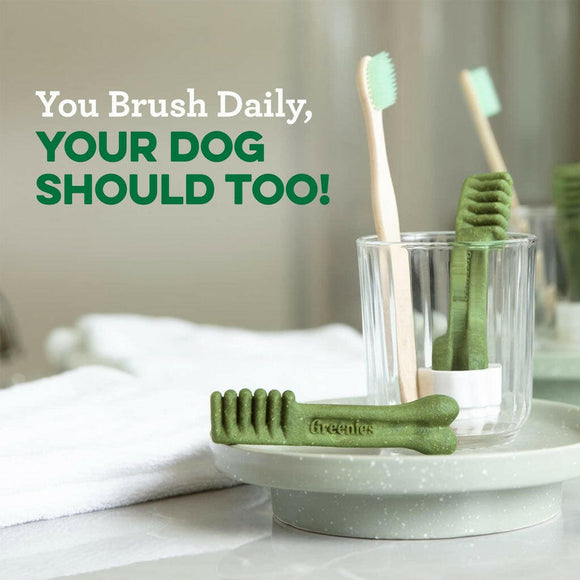 greenies dog dental treats