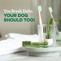 greenies dog dental treats