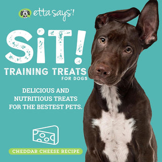 Etta Says! Sit! Training Treats for Dogs Cheddar Cheese Flavor