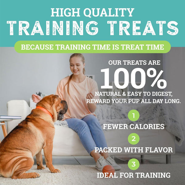 Etta Says! Sit! Training Treats for Dogs Cheddar Cheese Flavor