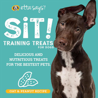 Etta Says! Sit! Training Treats for Dogs Oat & Peanut Flavor